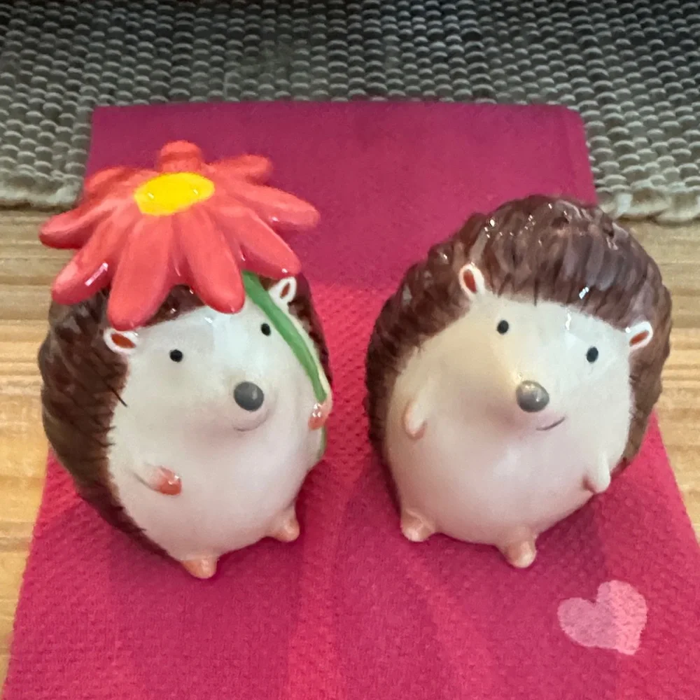 Adorable Hedgehog Couple Ceramic Salt & Pepper - Picture 1 of 3